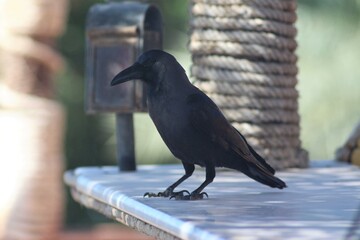 Safaga, Egypt: Travel along the Soma Bay