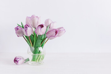 Tender violet tulips in a vase on a white wooden background. Greeting card for Women's day.