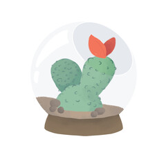 Cactus with a flower in the florarium. Plant in glass. Succulent