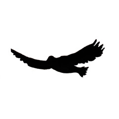 black silhouette of a bird, an eagle, a hawk, a dove with a large wingspan with feathers flying freely, whipping in the sky on a white background