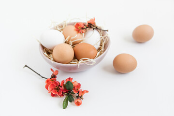 Brown and white natural eggs with in the plate, blooming flowers. Easter, Holiday concept, gift card for your design, place for text. White minimalist background.