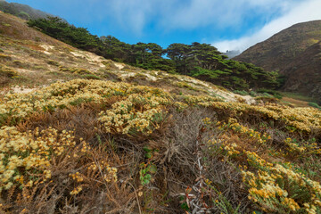 Pfeiffer Beach in Big Sur is an incredibly picturesque beach, beautiful landscape on the Pacific coast, rocks, sand, ocean and sky. Concept, vacation, photo for postcards, tourist and travel guide.