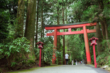 Fototapeta na wymiar Red Torii gate in Hakone Shrine, Japan　箱根神社の鳥居と参道