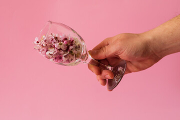 A hand holding a wine glass filled with blossoming flowers from a tree. Nature is waking up. Spring concept.