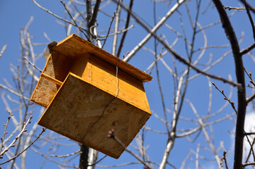 wooden bird house hanging on the tree