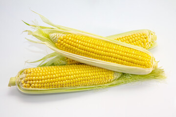 Fresh ripe golden sweet corn cobs on white background