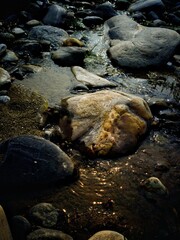 stones in water