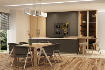 Modern interior of kitchen with living room