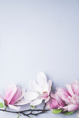 Magnolia springtime minimalistic still life. Beautiful pink magnolia flowers on the soft blue background, copy space. Wedding stationery mock-up scene. Blank vertical greeting card
