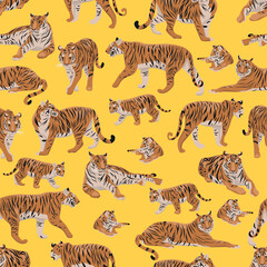 Seamless pattern. Realistic tiger Panthera tigris and cubs in different poses. The tiger stands, lies, goes, hunts. Animals of Asia. Panthera tigris. Vector animals