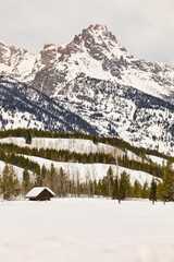 snow covered mountains