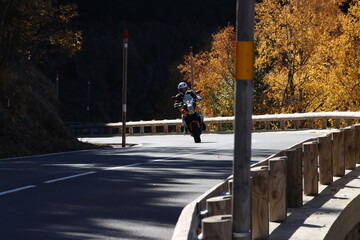 person walking in the snow