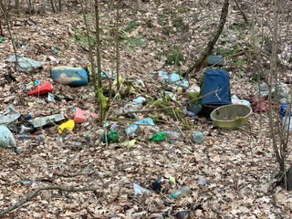 Litter and plastic waste in forest