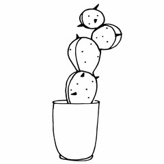 Vector illustration of cacti isolated on a white background.Doodle for printing on paper, logo, clothes, blanks for designers