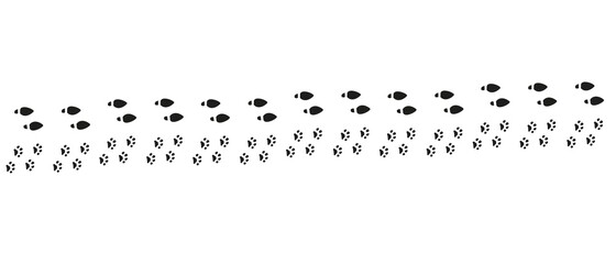 Traces on a white background. Footprints. Human feet
