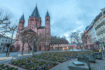 Blumenbeet vor dem Mainzer Dom