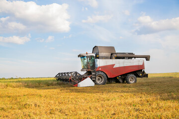 Fototapeta premium old combine harvester harvests from the field
