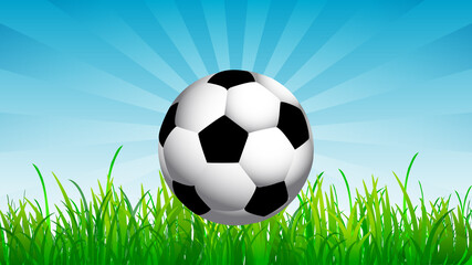 Soccer ball on the background of grass and sky, vector art illustration.