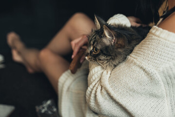 the cat is sitting in the girl's arms