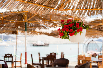 cafe by the sea. restaurant on the beach, thatched beach umbrellas,flowers in pots, table, wicker swing chair, chairs and rocking chair. Crimean pier, views of the mountains and the sea