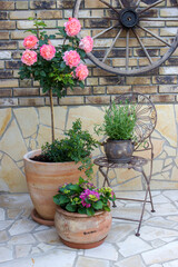 Fototapeta na wymiar beautiful place in the garden in the mediterranean style, pots with flowers and chair