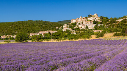 The Provence hilltop perched village of Simiane-la-Rotonde in summer with lavender filed. Alpes-de-Hautes-Provence, France
