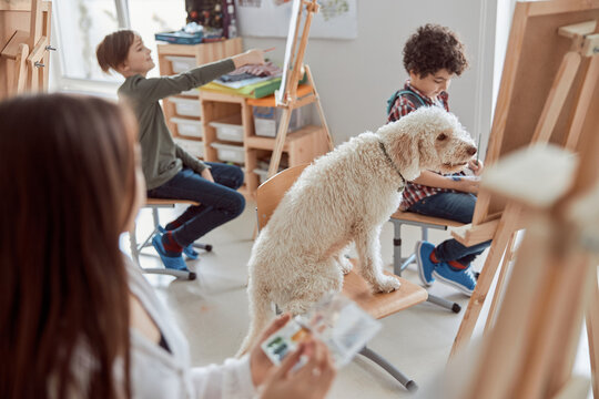 Portrait Of A Dog Student On A  Group Drawing Lesson In A Modern Light Classroom