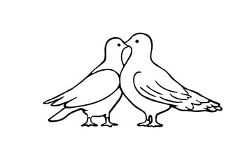 two doves kissing - vector sketch. A hand-drawn illustration of two loving pigeons holding their beaks towards a friend. Realistic pigeon birds in sketch style