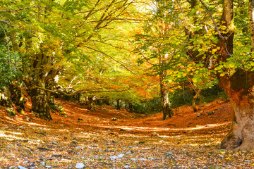 autunno nel Parco dei Monti Lucretili