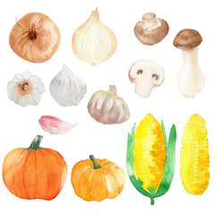 watercolor vegetable vegetarian vegan cooking soup collection set pumpkin onion mushroom corn garlic fresh farm harvest hand painted 
