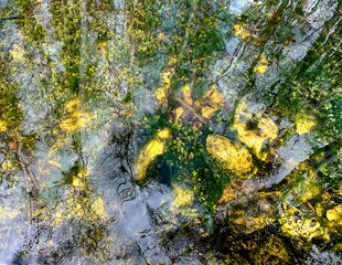 Everglades National Park Reflecting Pool