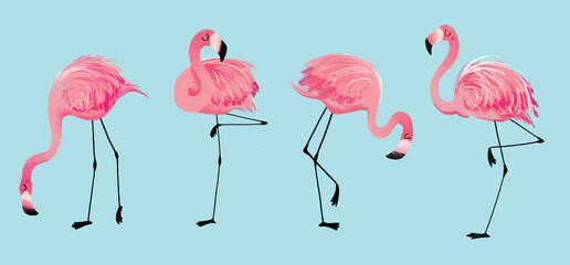 Obraz premium Pink flamingo illustration