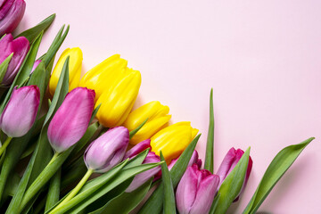 Beautiful romantic bouquet of purple and yellow tulips on a pale pink background . Lots of tulips, large bouquet. Copy space. Space for text.