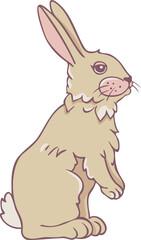 Vector illustration of charming rabbit. Standing hare.
