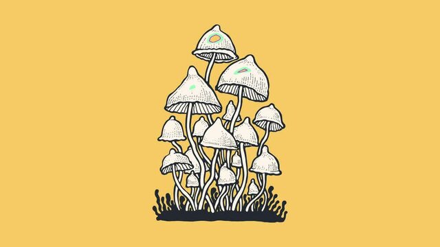 Psilocybin hallucinogenic magic mushrooms. Hand drawn design element. Animated drawing, motion graphics 