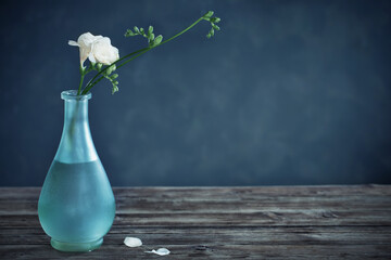 white  freesia in glass vase on dark background