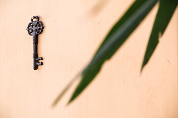 Historical key on a wall