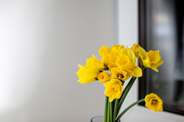 A yellow bouquet of daffodils in a glass vase on the windowsill