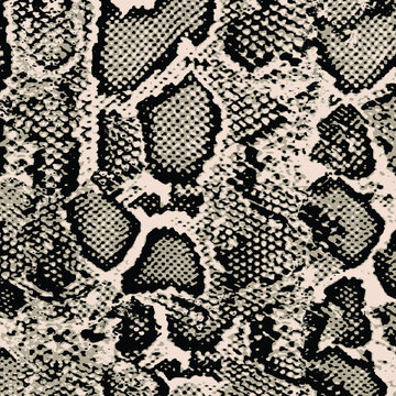 Animal print, snake skin texture background