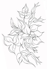 Coloring page outline of blooming lily and tulips - Pen and ink hand drawn sketch isolated on white background