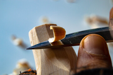 Hands carving wood with pocket knife, wood shavings and gloves.