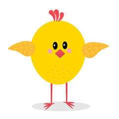 Chicken isolated on a white background, color vector illustration