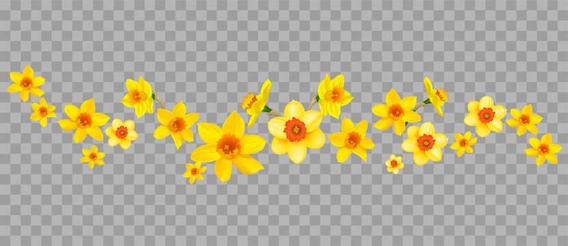 Daffodil Border Clip Art Free Daffodil Border Clip Art Free