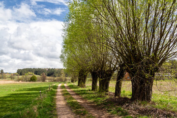 Wzgórza Sokólskie wiosną, Podlasie, Polska