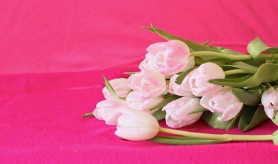 Fototapeta na wymiar pink tulips on wooden background
