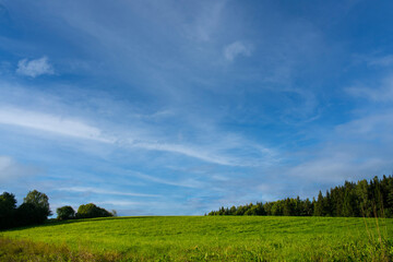 Blue sky green grass