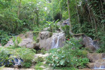 Jamaica Konoko falls park tropical jungle