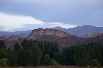The green forest and rocky mountains at nightfall. 