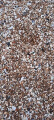 texture of a carpet