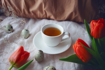  Cozy easter composition with a   quail eggs, tea cup and tulips on beige cloth. Spring morning mood